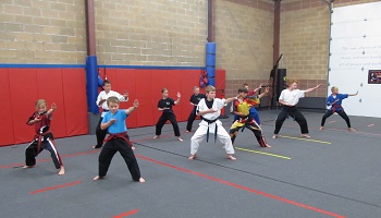 Utah Karate Institute